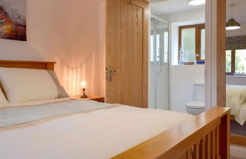 Hen Llaeth - Uk11209 - Photo 8