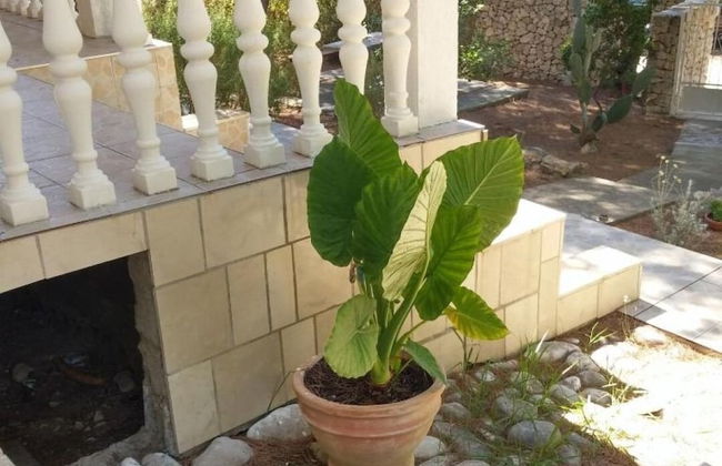 Eli - for Nature Lovers - A2 - Foto 19