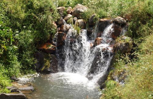 Casas do Almourão - Foto 68
