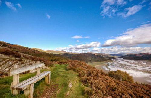 Derwin-Fawr - Photo 15