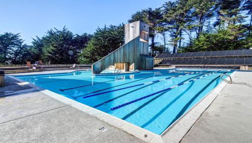 Wild Meadow - Foto 5