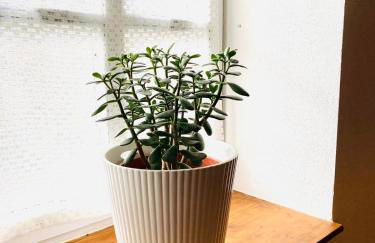 Into The Green Apartment - Foto 9