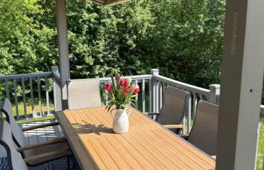 Whole House Aurora View with Hot tub, Sauna and AC - Photo 37