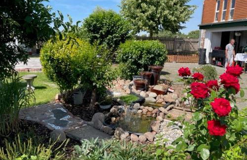 Urlaub nahe der Peene nähe der Ostsee - Foto 17