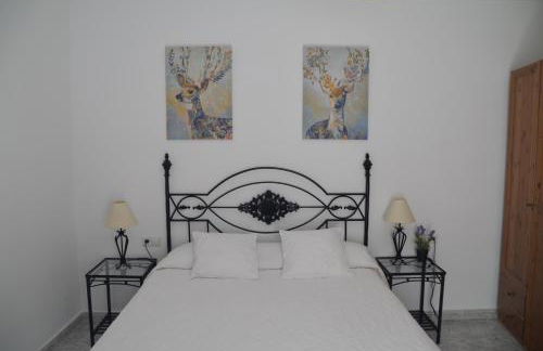 Mirador de Tajos - Foto 21