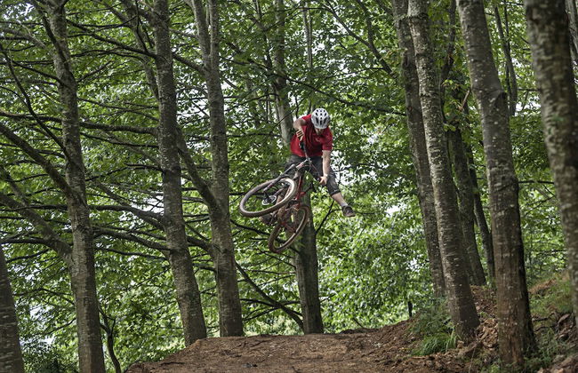 Cabañas Deluxe Basajaun Basoa by IrriSarri Land - Foto 53