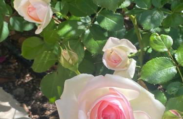 La Paratá Suites Mojácar - Foto 46