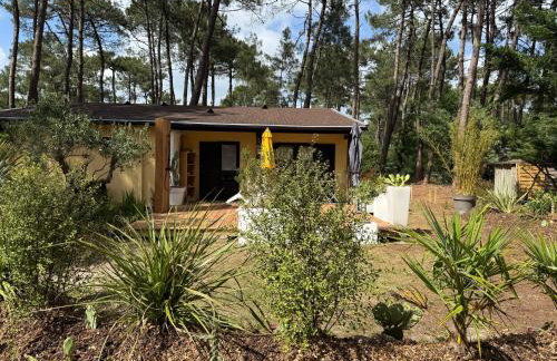 Euronat naturist studio - Foto 4
