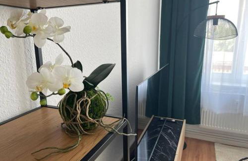 LUCKY STAYS LS12 - Vollausstattung - Zentrum - große Küche - 2 Zimmer - Smart-TV - Foto 20