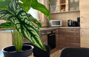 Geräumige Wohnung mit Balkon - Zentral - Kostenloses Parken - Foto 5