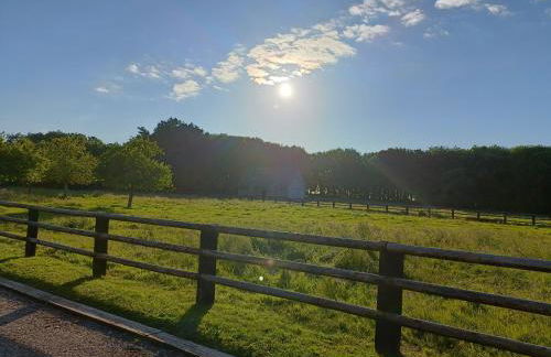 DOMAINE DE JANVILLE - Foto 7