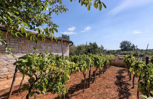 Villa Karim near Poreč with large garden & 50 m2 private pool - Foto 45