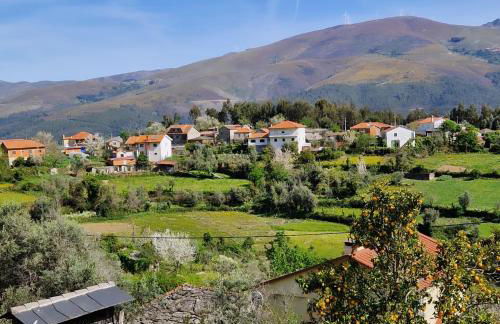 Casas Cor de Rosa - Foto 36