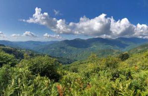 Nidi del faggio rosso - Family Holiday Home - Foto 42