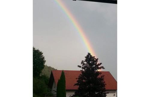 Mayntz' Albjuwel - Foto 7