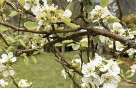 Casa das Castanhas - Cinfães, Viseu - Photo 9
