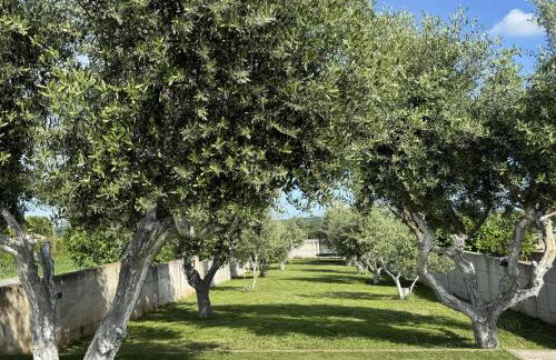 Villa Genesis - Stadtvilla Marčana Istrien - mit privatem, beheizbaren Infinity Pool und Olivengarten - Foto 31