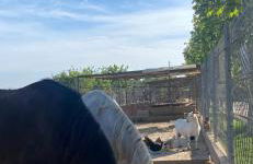 El Maset de Torredembarra - Foto 46