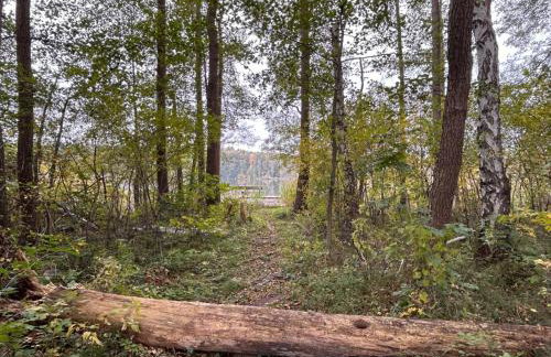 Siedlisko Silna Nowa - Foto 4