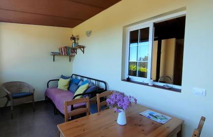 Iraña del bosque - Foto 6