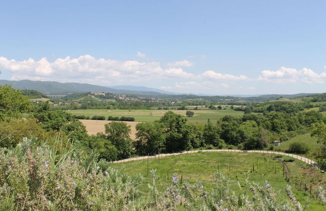 Agriturismo Poggianto - Foto 64