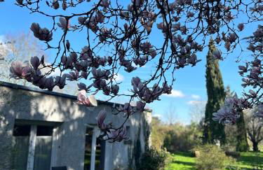 La maison du jardin - Foto 1