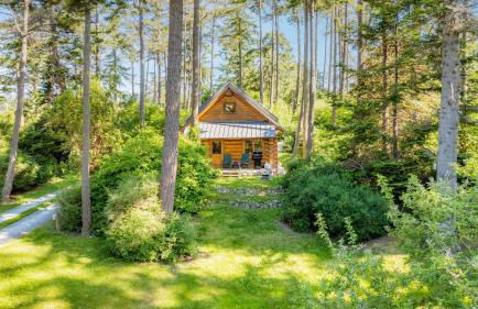 Penn Cove Overlook by Avantstay Cabin w/ Views - Foto 45