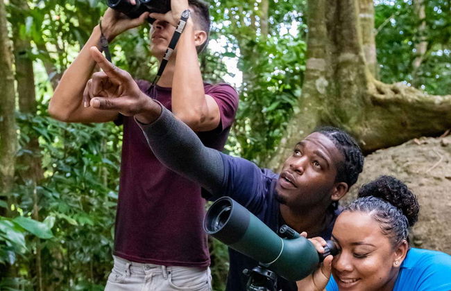 Birdwatching a Castries Waterworks - Foto 13
