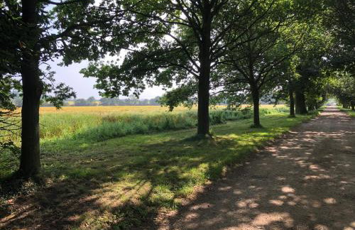 Cherry Trees - Photo 10