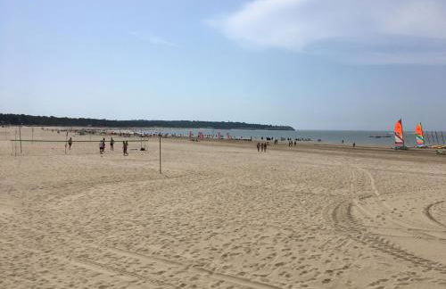 Lis du Japon - Foto 14