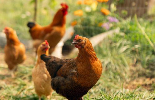 Pacific View Cottage - 100 High with Ocean Views - Foto 25