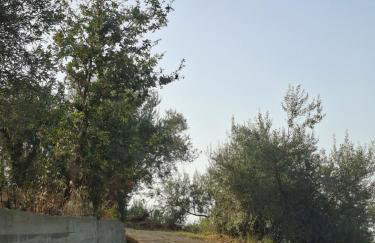 Beautiful views of the Aeolian Islands and the Cape of Milazzo - Foto 5