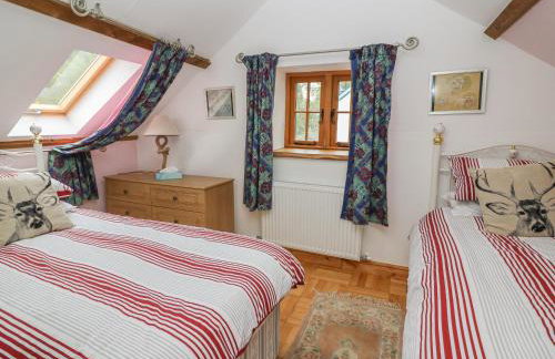 Felin Iago - Foto 13