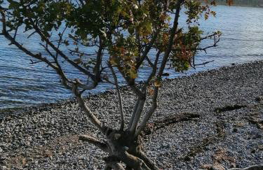 Apartment Mia - Photo 27