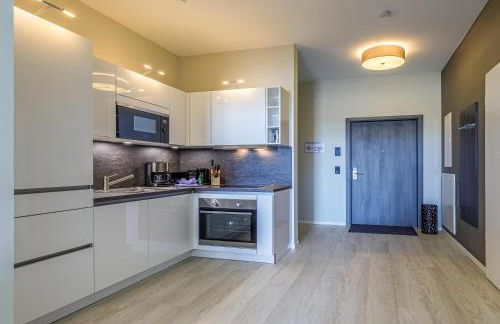 Sonnenblume in der Seefahrtschule - Foto 5