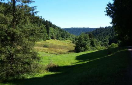 Meisterhaus Alpirsbach Wohnung OG - Foto 26