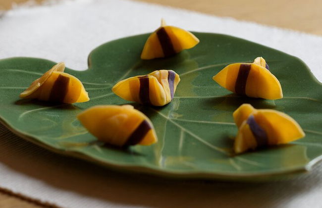 Home Cooking: Pasta Making with Natural Colors in a Tiny Group - Photo 5