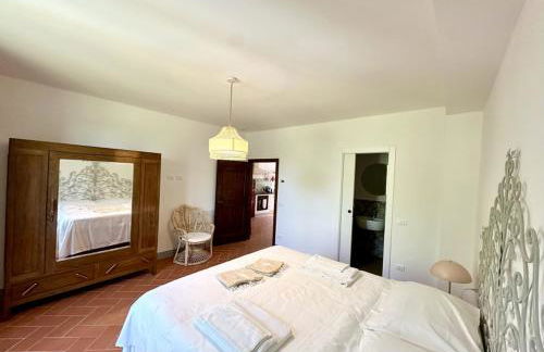 Podere di Montecchio - Le Andane - Foto 47