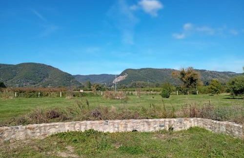 La maison multicolore - Foto 36