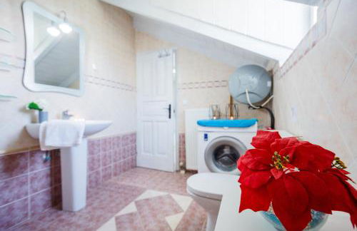 Tonias Houses - Thea House and Vrachos Attic Appartment - Foto 36