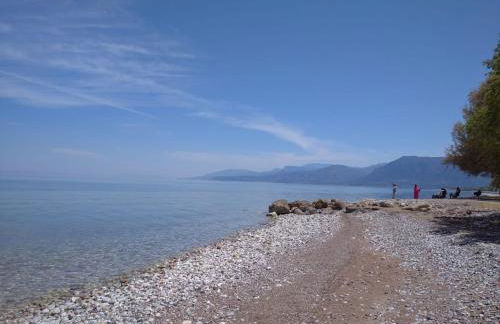 Secret Garden Τemeni - Foto 39