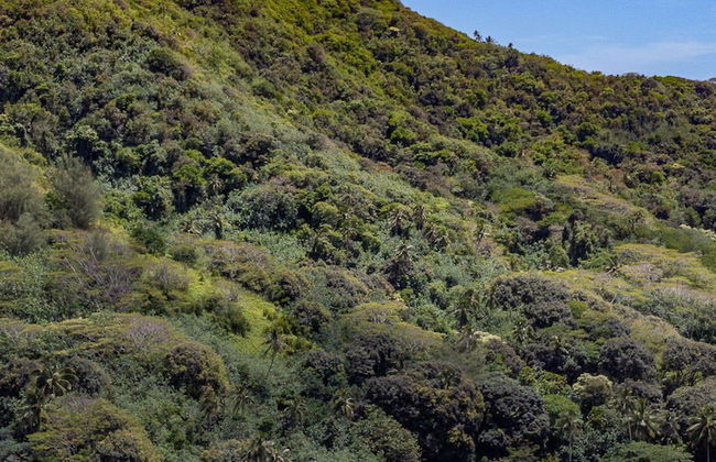 Avana Valley Heights - Photo 10