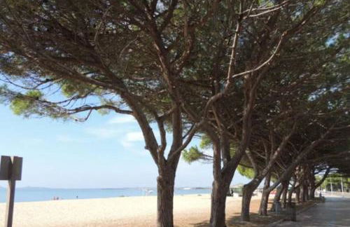 Residenza Bottego Pineta - Foto 39