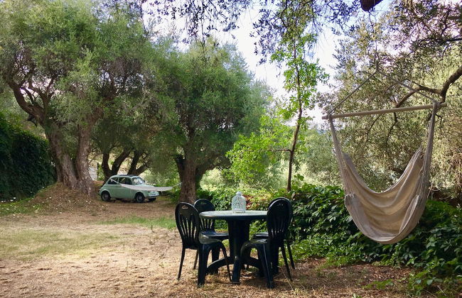 Agriturismo Don Cesarino - Photo 69