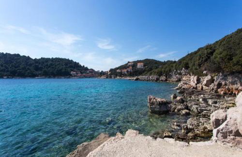 Guest House Simunovic - Studio Apartment with Terrace - Foto 12