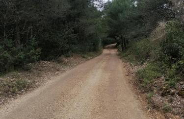 Rezidencija Galileja - Foto 62