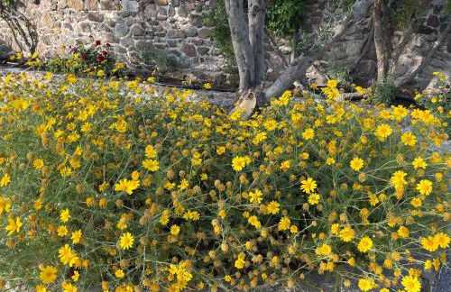 Elea Houses - Foto 45