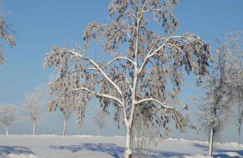 Hill-view Holiday Home in Dankerode near Lake and Hiking - Foto 16