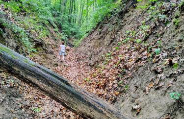 Lawendowy Domek agroturystyka, noclegi - 2,7 km od Bałtowa - Foto 67