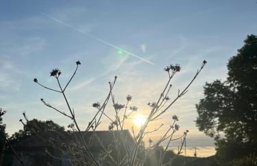 La Colline de Tilleul - Les Tilleuls - 4 STAR RATED - stunning cottage with pool near Aubeterre in idyllic location - Foto 49